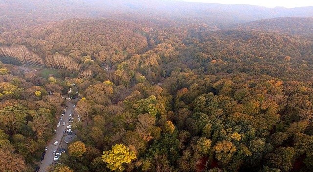 İstanbul'da ormanlara giriş yasağı uzatıldı İstanbul'da ormanlara giriş yasağı uzatıldı