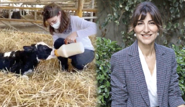 Harvardlı hanımağa! Çiftliğin her adımında onun emeği var Harvardlı hanımağa! Çiftliğin her adımında onun emeği var