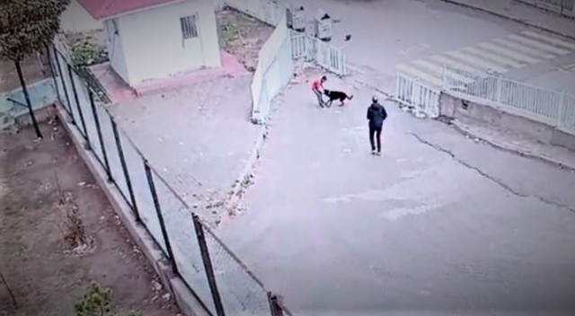 Köpeğin saldırısına uğrayan çocuğu okul güvenliği kurtardı Köpeğin saldırısına uğrayan çocuğu okul güvenliği kurtardı