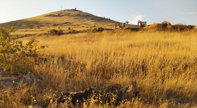 Şanlıurfa’da 63 bin fidanla yeni bir ormanlık alan oluşturuluyor Şanlıurfa’da 63 bin fidanla yeni bir ormanlık alan oluşturuluyor
