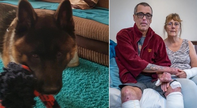 Evcil köpeğin ısırdığı bir kişi hayatını kaybetti, diğeri bacaklarından oldu Evcil köpeğin ısırdığı bir kişi hayatını kaybetti, diğeri bacaklarından oldu