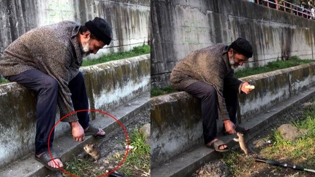 Sokakta yaşayan kimsesiz adamdan duygulandıran hareket: Ekmeğini fareyle paylaşıyor Sokakta yaşayan kimsesiz adamdan duygulandıran hareket: Ekmeğini fareyle paylaşıyor