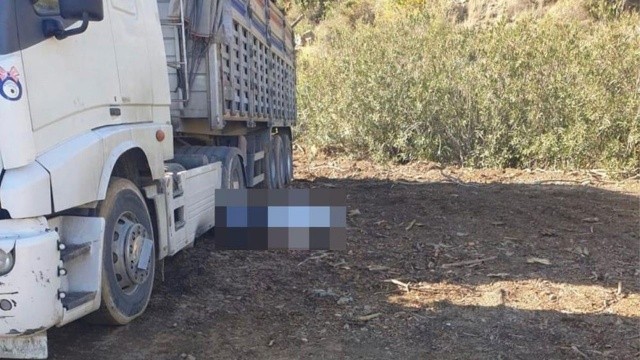 Kamyona odun yüklerken öldü