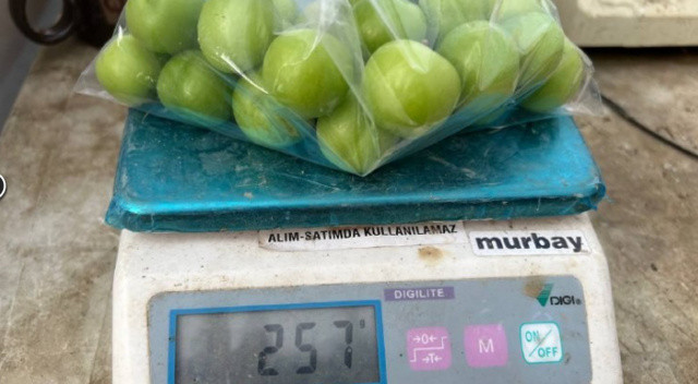 Arap şeyhlerine kilosu 2 bin liradan erik satılıyor Arap şeyhlerine kilosu 2 bin liradan erik satılıyor