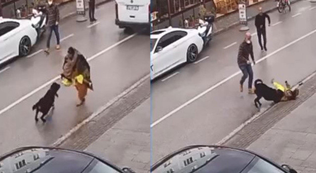 Köpeğin saldırısına uğrayan kadın kucağındaki çocuğu bırakıp kaçtı Köpeğin saldırısına uğrayan kadın kucağındaki çocuğu bırakıp kaçtı