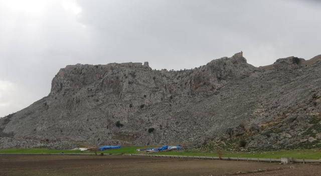 Koyunu kurtarmak isterken canından oldu Koyunu kurtarmak isterken canından oldu