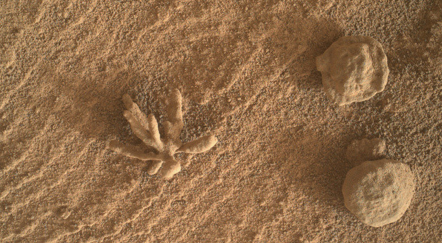 Mars yüzeyinde çiçek benzeri cisim keşfedildi Mars yüzeyinde çiçek benzeri cisim keşfedildi