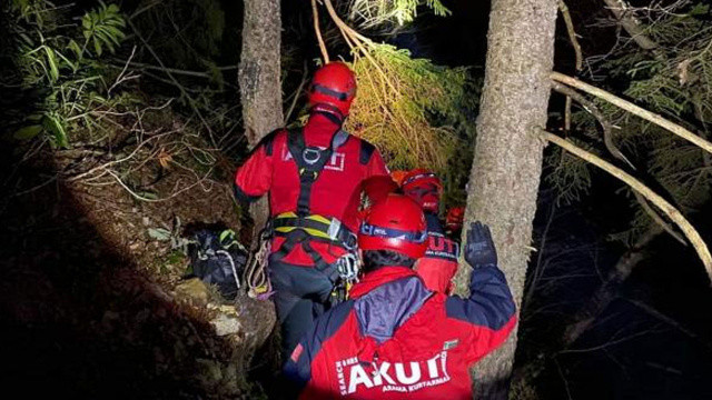 Odun toplamaya gitmişti... Ölüm haberi geldi Odun toplamaya gitmişti... Ölüm haberi geldi