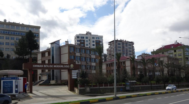 Arkadaşlarına ‘beni yalnız bırakın’ dedi, odaya girenler ceset ile karşılaştı Arkadaşlarına ‘beni yalnız bırakın’ dedi, odaya girenler ceset ile karşılaştı