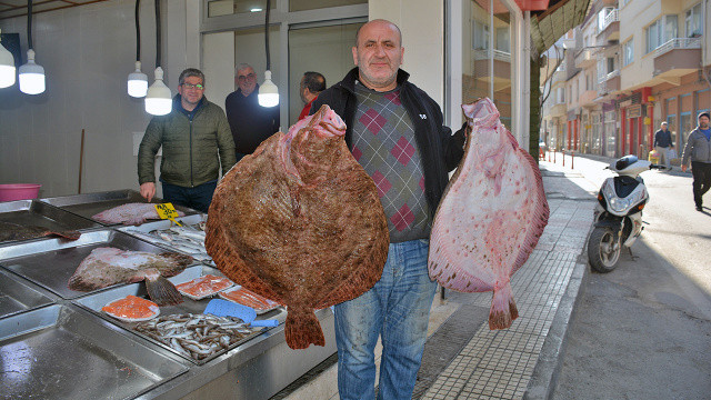 Bu balığın fiyatı 4.600 TL