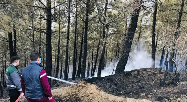 Bursa, Çanakkale ve Bilecik'te çıkan orman yangınları kontrol altına alındı Bursa, Çanakkale ve Bilecik'te çıkan orman yangınları kontrol altına alındı