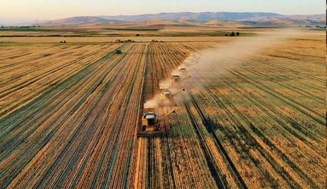 Tarımda planlı üretim dönemi Tarımda planlı üretim dönemi