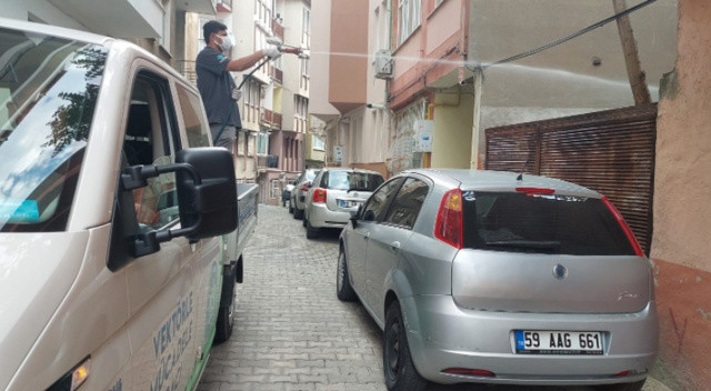 Tekirdağ&#039;da böcek istilası: Evlere dadandılar