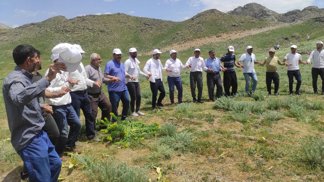 Dağlar PKK'lılardan temizlendi, 20 sene sonra yaylalarına çıktılar Dağlar PKK'lılardan temizlendi, 20 sene sonra yaylalarına çıktılar