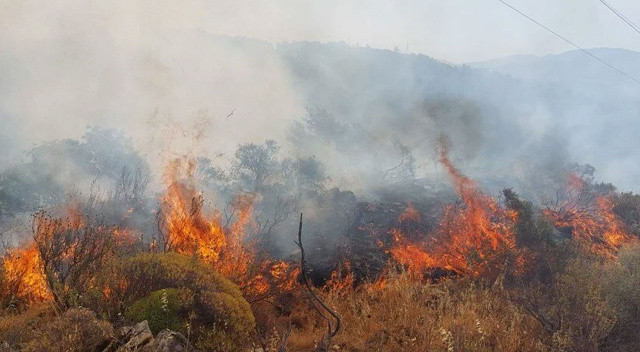 Muğla'da orman yangını Muğla'da orman yangını