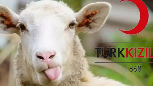 Kızılay 2022 kurban bedellerini açıkladı
