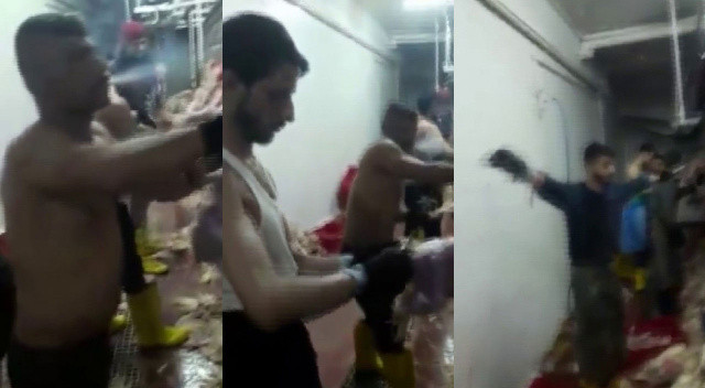 Mezbahada mide bulandıran görüntüler! Ağızlarında sigara, çıplak bir şekilde tavuk kestiler Mezbahada mide bulandıran görüntüler! Ağızlarında sigara, çıplak bir şekilde tavuk kestiler