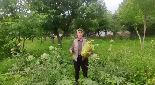 Denemek için boş tarlaya ekti, gördüğü manzara karşısında şoke oldu