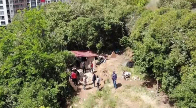Güvercinle gölgeleme, pitbulla koruma: Okulun karşısında zehir ticareti