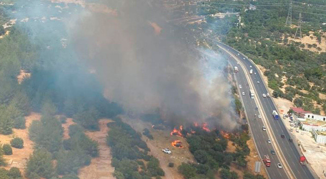 İzmir'de makilik alanda yangın İzmir'de makilik alanda yangın