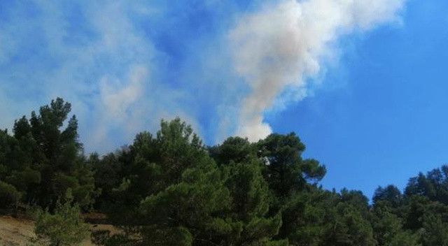 Antalya'da çıkan orman yangını kontrol altına alındı Antalya'da çıkan orman yangını kontrol altına alındı