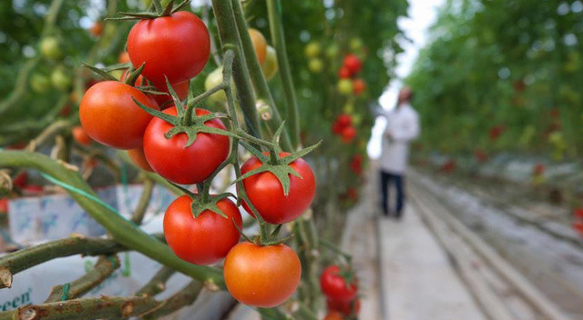 Bavulda numune ile pazara çıkalım Bavulda numune ile pazara çıkalım