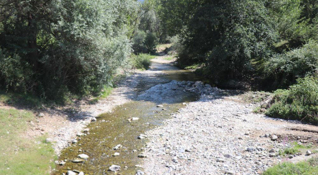Bolu’da 50 gün sonra ikinci zehirlenme şüphesi Bolu’da 50 gün sonra ikinci zehirlenme şüphesi