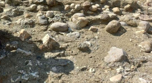 Hayvan otlatırken buldu ve kayalıkların arasında çıkardı: Ne olduğunu öğrenince şaştı kaldı Hayvan otlatırken buldu ve kayalıkların arasında çıkardı: Ne olduğunu öğrenince şaştı kaldı