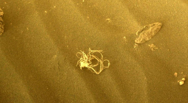 NASA Mars’ta keşfedilen yosunun gizemini çözdü