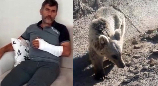 Şaşkınlık veren olay! Yemek verdiği ayının saldırısına uğradı, güreşerek kurtuldu Şaşkınlık veren olay! Yemek verdiği ayının saldırısına uğradı, güreşerek kurtuldu