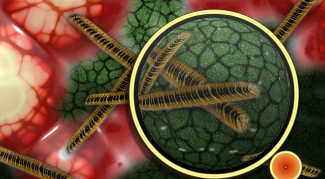 1 yaşından küçük çocuğu olanlar dikkat: Ateş ve ishalle kendini gösteriyor, ölüme de yol açıyor 1 yaşından küçük çocuğu olanlar dikkat: Ateş ve ishalle kendini gösteriyor, ölüme de yol açıyor