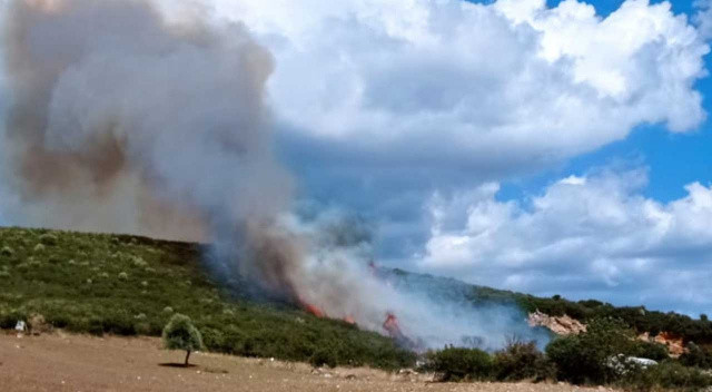 Çanakkale&#039;de orman yangını! Havadan ve karadan müdahale sürüyor