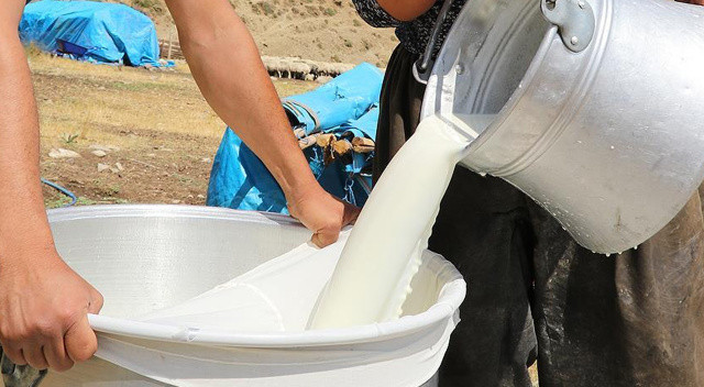 Çiğ süte zam geliyor! 1 Ekim&#039;den itibaren geçerli olacak