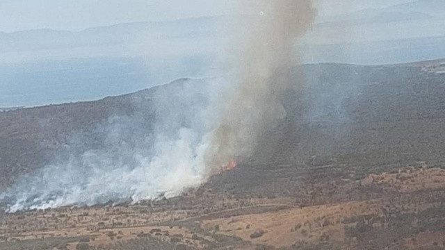 İzmir&#039;de makilik alanda yangın