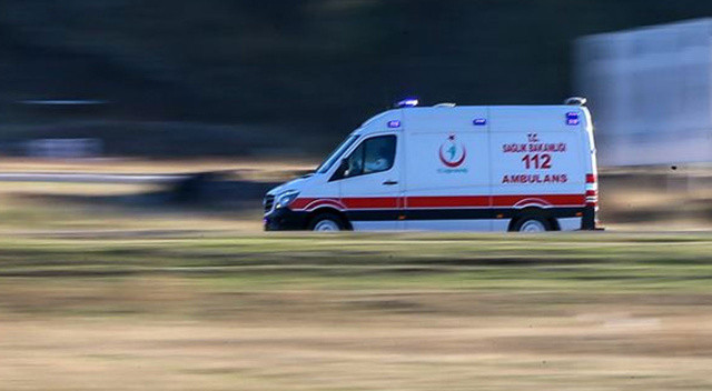 Kuşburnu toplamak için gitti, bastığı arı yuvası sonu oldu!