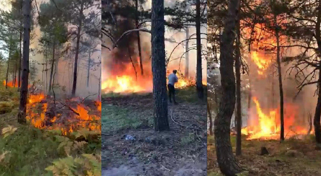 Tokat’ta aynı yerde 24 saat sonra ikinci kez orman yangını! Vatandaş yardım istedi