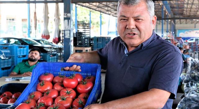 Üreticilerden "Domates kışın 50 TL olacak" sözlerine tepki! “Hem içeriye hem dışarıya yetecek ürünümüz var” Üreticilerden "Domates kışın 50 TL olacak" sözlerine tepki! “Hem içeriye hem dışarıya yetecek ürünümüz var”