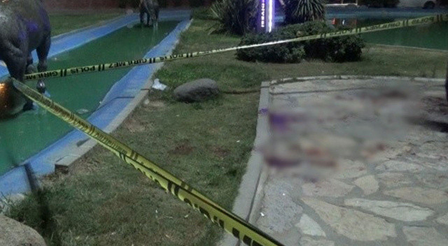 İzmir’de köpek kavgası: Cam şişe ile boğaz kesildi
