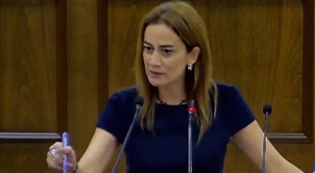 KKTC&#039;li vekilin küstah sözlerine AK Parti&#039;den tepki: Hadsiz sözlerini kınıyoruz