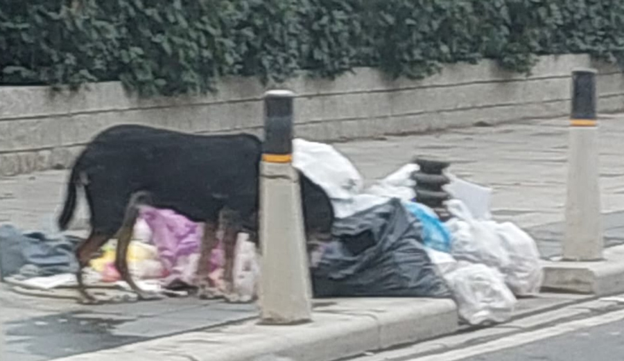 Tüyolara kanıp günlük al-sat oyunlarına katılmayın!