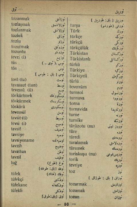 Türk mü? Türkiyeli mi?