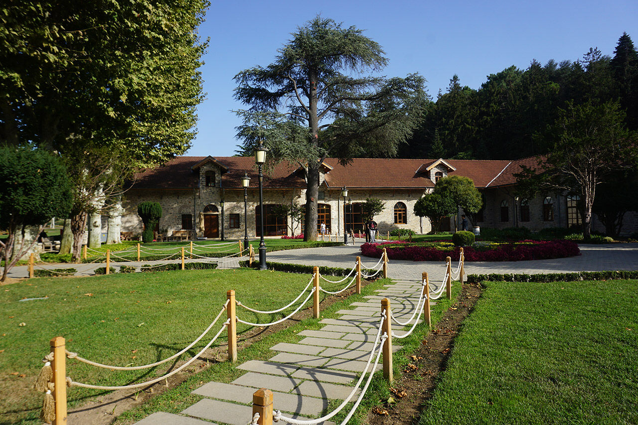 Atlar çıktı camlar girdi