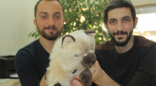 Bu kedi, stres ve depresyonu alıyor