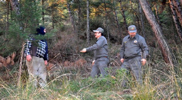 Orman memurları çam nöbetinde