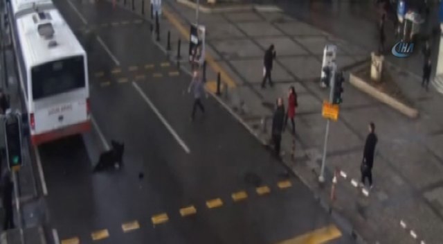 Kıl payı kurtuldu!