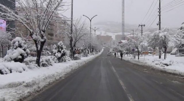 Mardin’de hayat durdu !