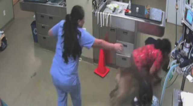 Sırtındaki kadınla firar eden köpek!