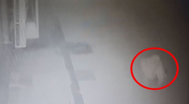 Yaşlı kadın apartmanın 13. katından böyle düştü