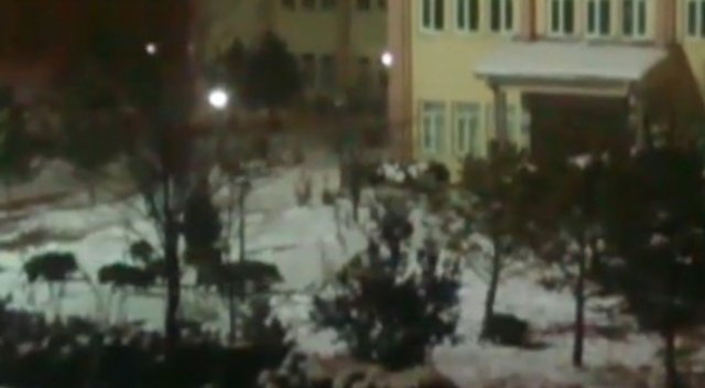 Aç kalan domuz sürüsü kampüse indi