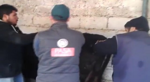 Karın ağrısı çeken ineğin midesinden bakın ne çıktı!